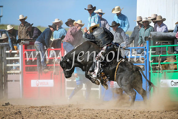 BungendoreRodeo2016-4116