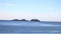MogoZooJul18_0002