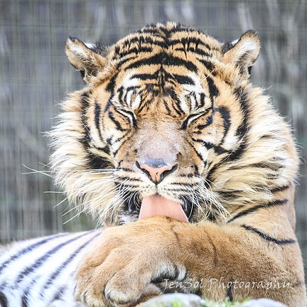 MogoZooJul18_0426