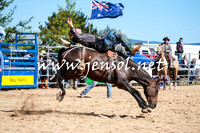 BraidwoodRodeo2016_1855