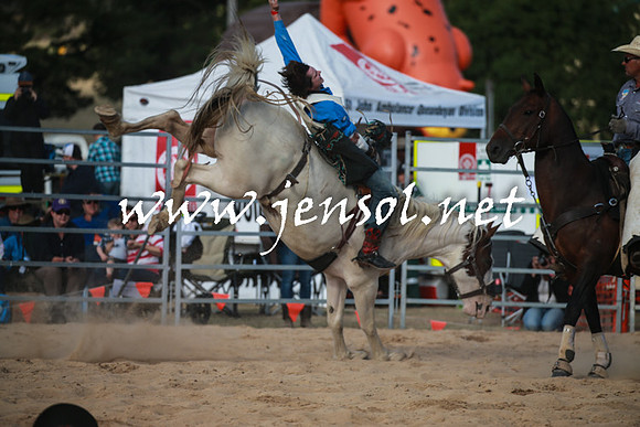 BraidwoodRodeo2016_4354