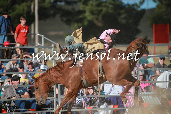 BraidwoodRodeo2016_4326