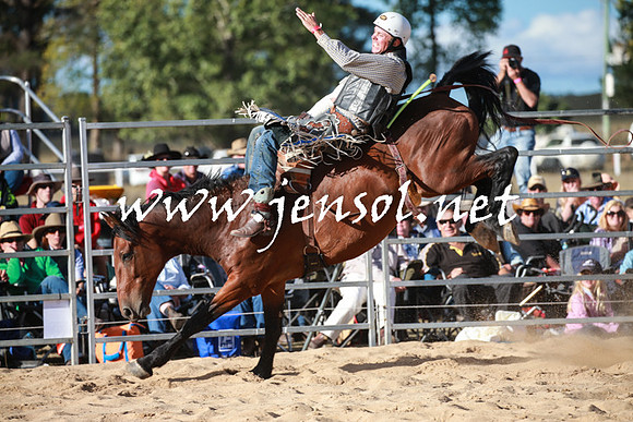 BraidwoodRodeo2016_5022