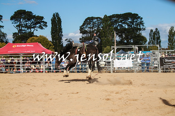 BraidwoodRodeo2016_5052