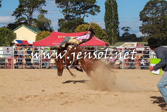 BraidwoodRodeo2016_4307