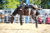 BraidwoodRodeo2016_1878