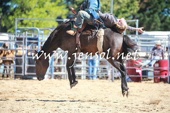 BraidwoodRodeo2016_1878