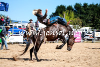 BraidwoodRodeo2016_1866