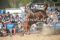BraidwoodRodeo2016_4320