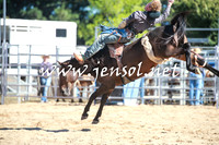 BraidwoodRodeo2016_1880