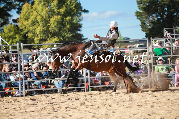 BraidwoodRodeo2016_5009