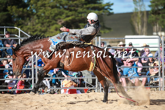 BraidwoodRodeo2016_5003