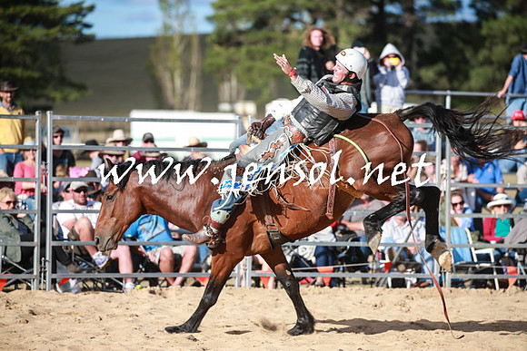BraidwoodRodeo2016_5008
