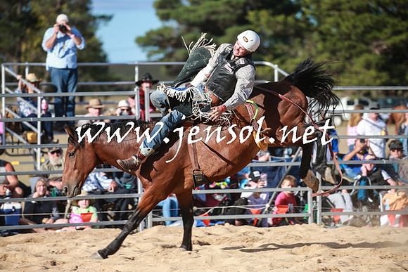 BraidwoodRodeo2016_5021