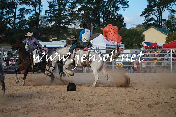 BraidwoodRodeo2016_4387