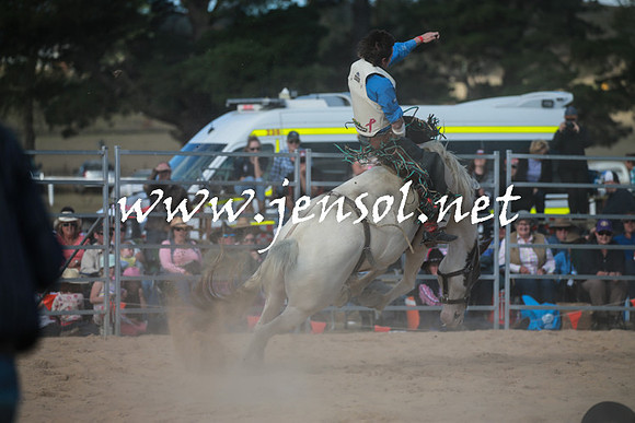 BraidwoodRodeo2016_4351