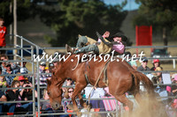 BraidwoodRodeo2016_4313