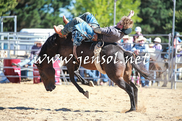 BraidwoodRodeo2016_1886