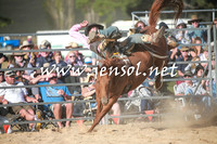 BraidwoodRodeo2016_4321