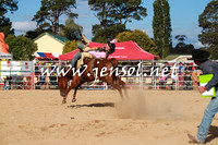 BraidwoodRodeo2016_4306
