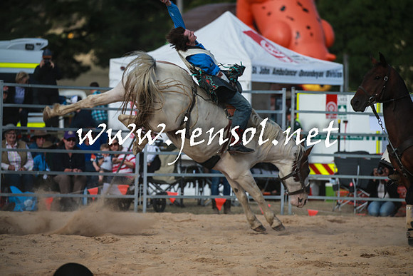 BraidwoodRodeo2016_4356