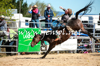 BraidwoodRodeo2016_1897