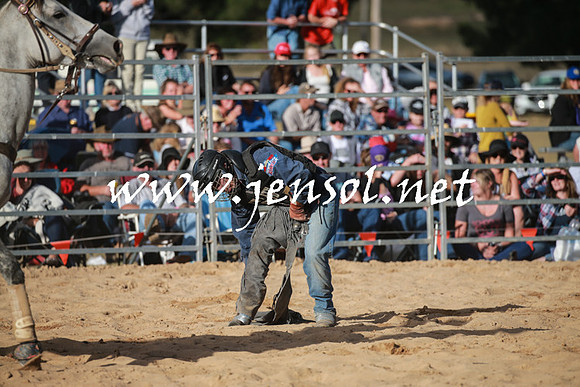 BraidwoodRodeo2016_5071