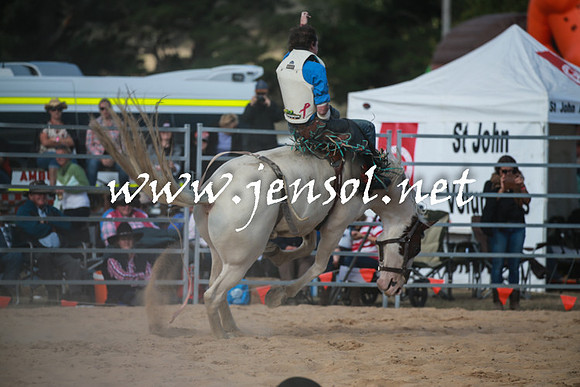 BraidwoodRodeo2016_4368