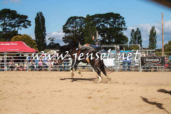 BraidwoodRodeo2016_5040