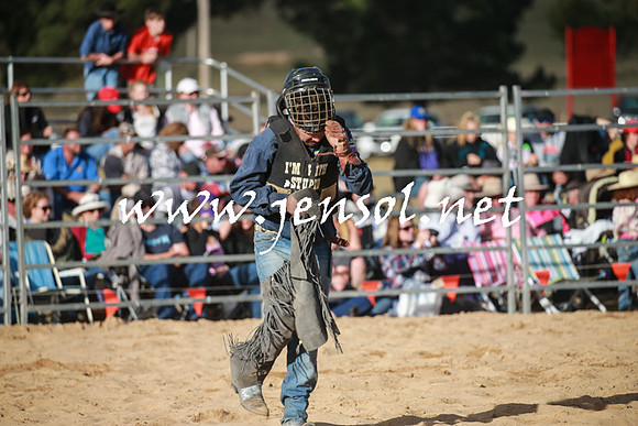 BraidwoodRodeo2016_5074