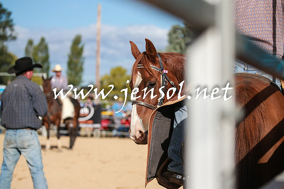 BraidwoodRodeo2016_4294