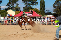 BraidwoodRodeo2016_4309