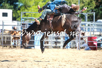 BraidwoodRodeo2016_1883