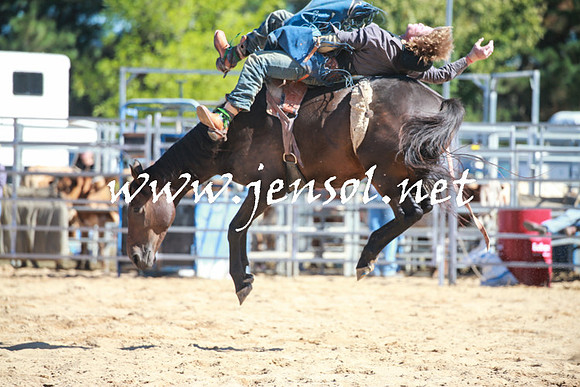 BraidwoodRodeo2016_1883