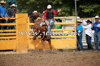 QueanbeyanRodeo2016_6073