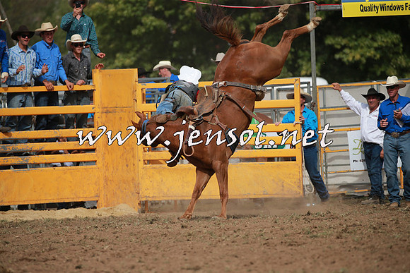 QueanbeyanRodeo2016_6084