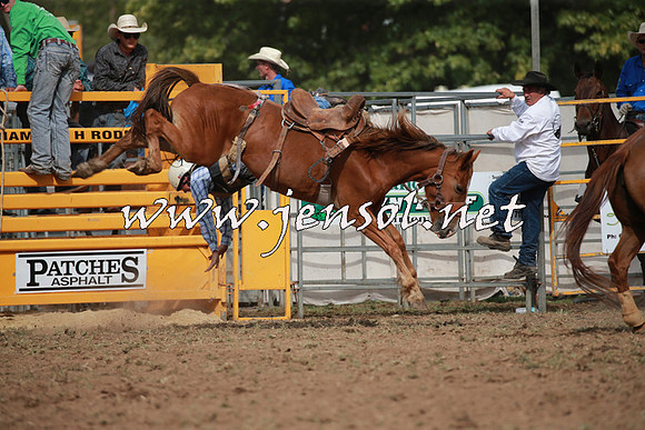 QueanbeyanRodeo2016_6160