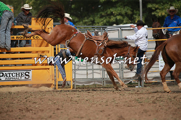 QueanbeyanRodeo2016_6162