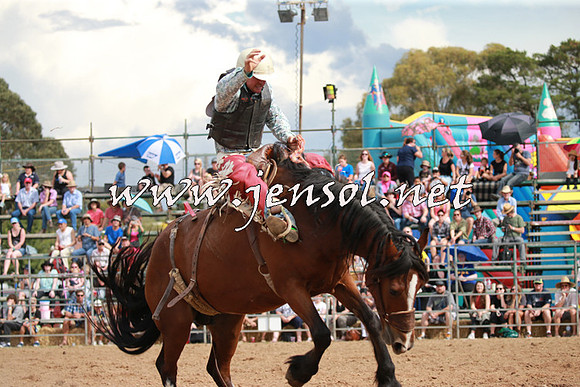 QueanbeyanRodeo2016_6137