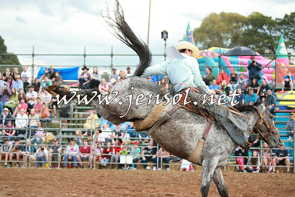 QueanbeyanRodeo2016_1516