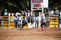 TaralgaRodeoSat2017_0439