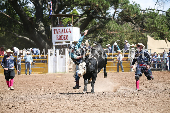 TaralgaRodeoSat2017_1058