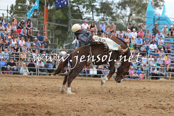 QueanbeyanRodeo2015_2958