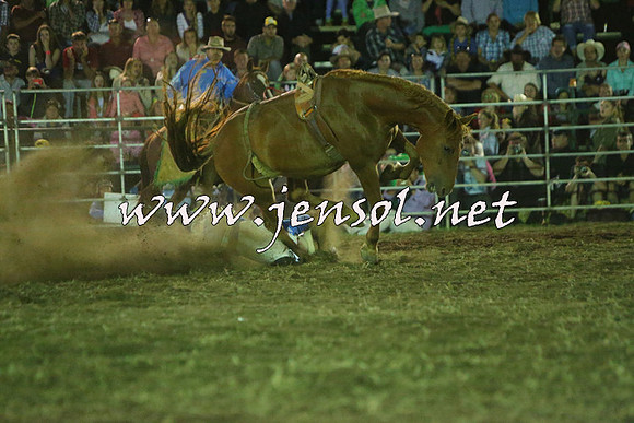 QueanbeyanRodeo2015_4540