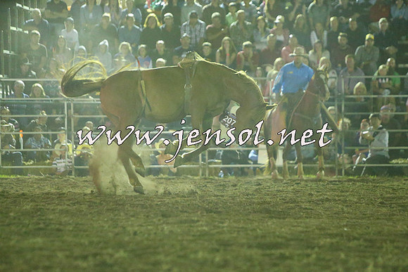 QueanbeyanRodeo2015_4543