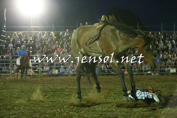 QueanbeyanRodeo2015_4357
