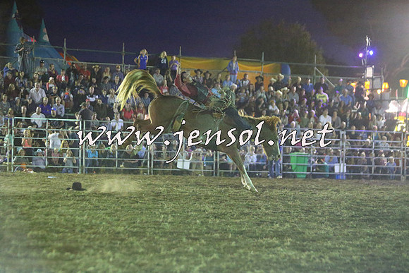 QueanbeyanRodeo2015_4403