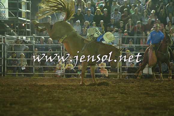 QueanbeyanRodeo2015_4527