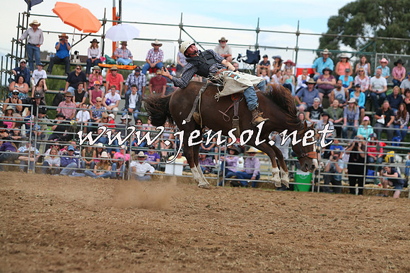 QueanbeyanRodeo2015_2949