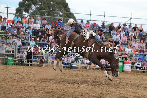 QueanbeyanRodeo2015_2967